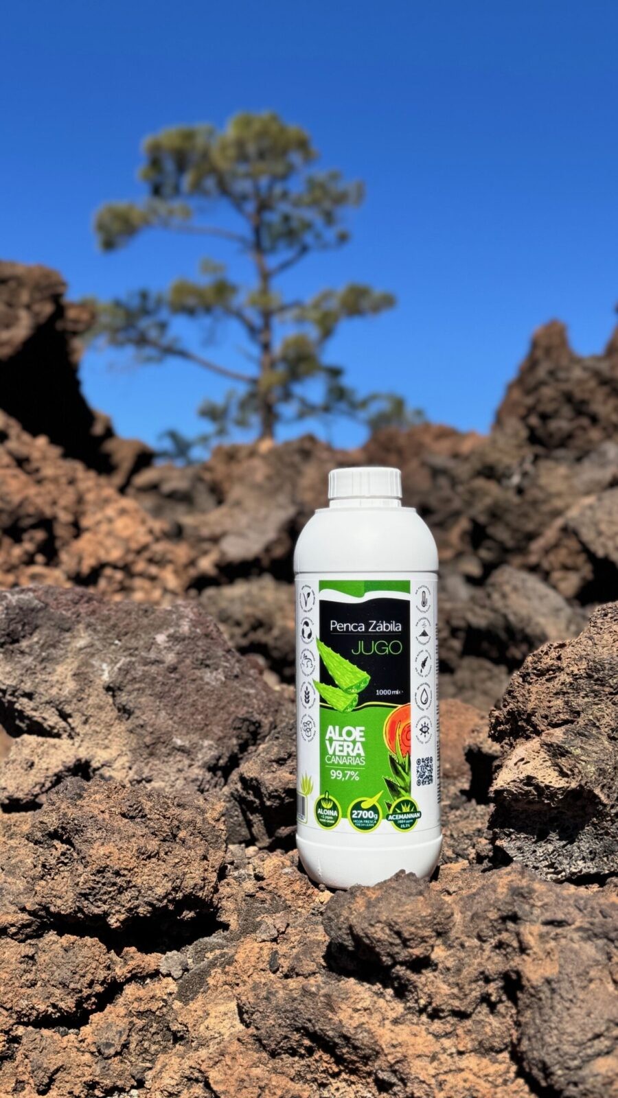 Kanárská Aloe vera šťáva, acemannan 2884 mg/l - Obrázek 6