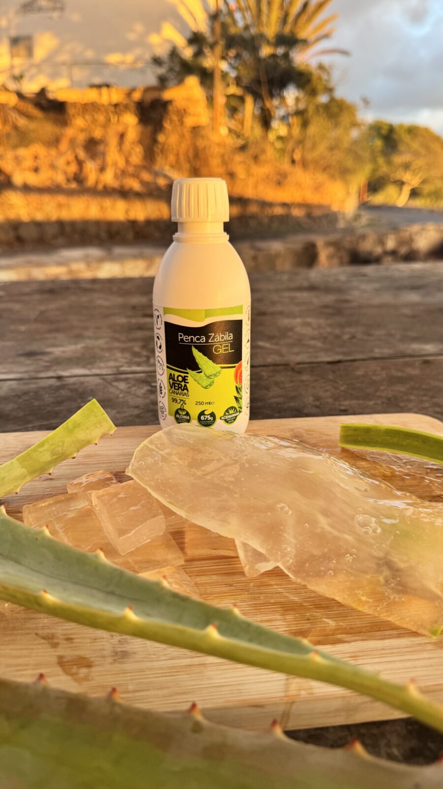 Kanárská Aloe vera - gel 99,7 %, acemannan 2884 mg/l, 250 ml - Obrázek 4